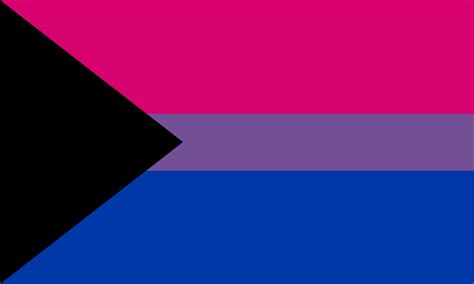 bi demisexual flag